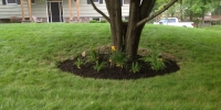 stone-veneer-siding-west-milford-nj-6