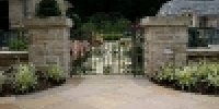 thumbs_img_5317